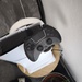 Playstation 5  - Bild 2