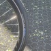E bike  Riese&Müller Modell Culture  - Bild 6