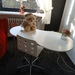 Schreib mit Stuhl  20euro  - Bild 1
